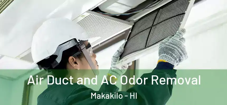 Air Duct and AC Odor Removal Makakilo - HI