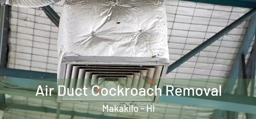  Air Duct Cockroach Removal Makakilo - HI