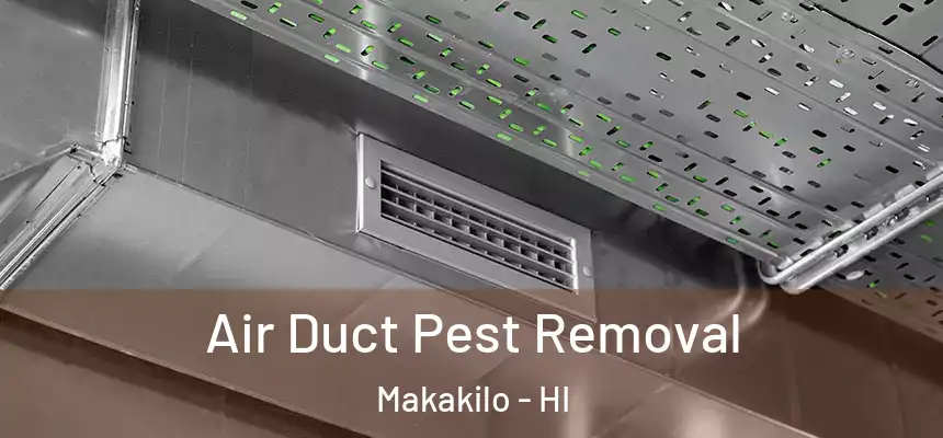  Air Duct Pest Removal Makakilo - HI