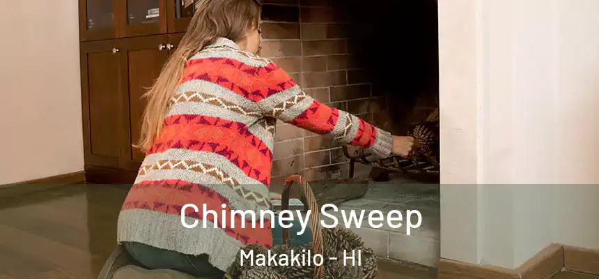  Chimney Sweep Makakilo - HI