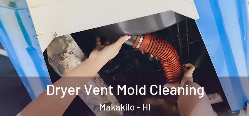 Dryer Vent Mold Cleaning Makakilo - HI