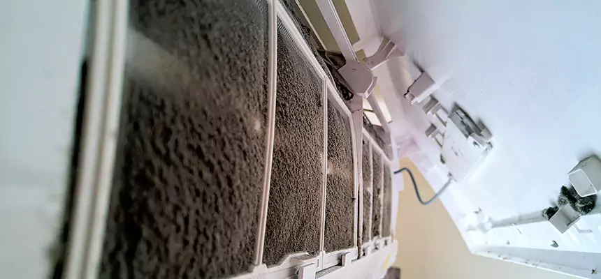 Preventive Air Duct Bacteria Removal in Makakilo