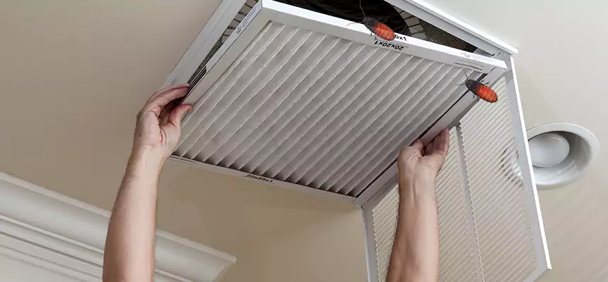 Preventive Cockroach-Proofing for Ducts in Makakilo