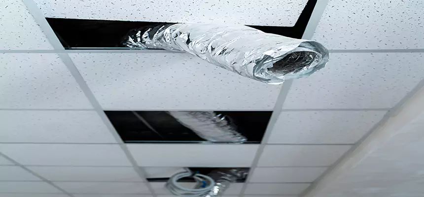 Affordable HVAC Sanitizing After Pest Removal in Makakilo