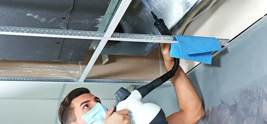 Our Air Duct Rodent Removal Services in Makakilo, HI
