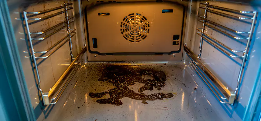 Our Dryer Vent Mold Cleaning Services in Makakilo, HI