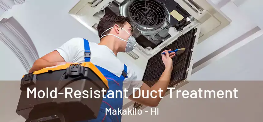  Mold-Resistant Duct Treatment Makakilo - HI