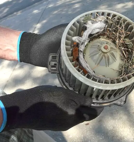 About Air Duct Mice Removal in Makakilo, HI