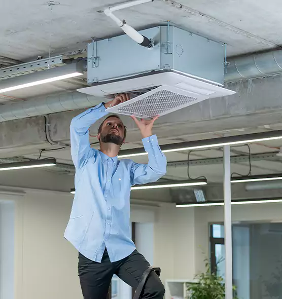 Advanced Rodent Droppings In Vents in Makakilo, HI