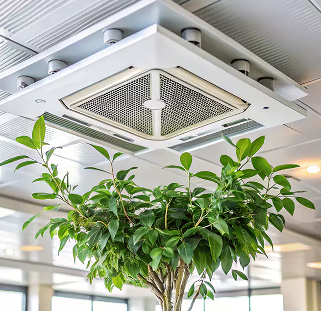 Why Homeowners & Businesses Trust Us in Makakilo, HI