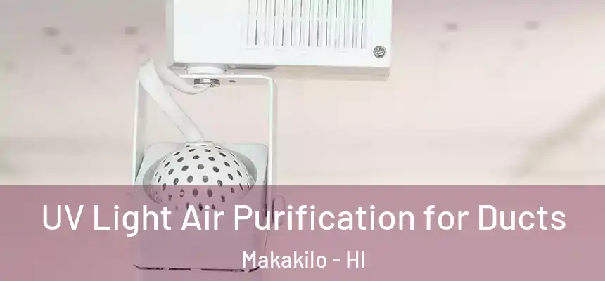  UV Light Air Purification for Ducts Makakilo - HI